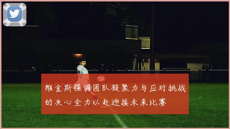 维金斯强调团队凝聚力与应对挑战的决心全力以赴迎接未来比赛